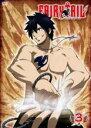 【中古】DVD▼【訳あり】FAIRY TAIL フェアリーテイル 3(第9話〜第12話) ※ディスクのみ レンタル落ち ケース無