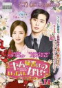 【中古】DVD▼キム秘書はいったい、なぜ? 14(第27話、第28話) 字幕のみ レンタル落ち ケース無