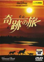 【中古】DVD▼奇跡の旅 レンタル落ち ケース無