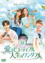 Drama - 【中古】DVD▼愛はビューティフル、人生はワンダフル 13(第25話、第26話) レンタル落ち ケース無