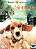 【中古】DVD▼【訳あり】ビーグル犬 シャイロ ※ジャケットに難あり レンタル落ち ケース無