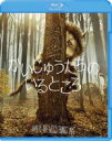 【バーゲンセール】【中古】Blu-ray▼かいじゅうたちのいるところ ブルーレイディスク レンタル落ち ケース無