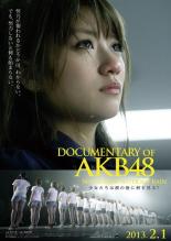 【送料無料】【中古】DVD▼DOCUMENTARY OF AKB48 NO FLOWER WITHOUT RAIN 少女たちは涙の後に何を見る?▽レンタル落ち