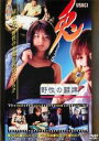 【バーゲンセール】【中古】DVD▼兎USAGI 野生の闘牌▽レンタル落ち ケース無