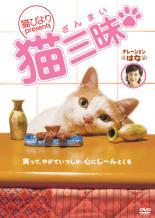 【バーゲンセール】【中古】DVD▼猫びより presents 猫三昧 レンタル落ち ケース無