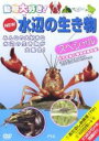 &nbsp;JAN&nbsp;4937629020446&nbsp;品　番&nbsp;PZD203&nbsp;制作年、時間&nbsp;2007年&nbsp;60分&nbsp;製作国&nbsp;日本&nbsp;メーカー等&nbsp;ピーエスジー&nbsp;ジャンル&nbsp;趣味、実用／子供向け、教育&nbsp;カテゴリー&nbsp;DVD&nbsp;入荷日&nbsp;【2023-09-16】【あらすじ】かわいい動物たちの世界を楽しく紹介するシリーズの‘NEW水辺の生き物編’。海や川や湖にそれぞれ暮らす生き物たちに迫る。ザリガニ、カエル、ホタル、ドジョウ、メダカ、コイ、ホタル、ゲンゴロウ、カメ、イモリ、カニほか多数の映像を収録。