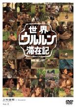 【バーゲンセール】【中古】DVD▼世界ウルルン滞在記 2 上地雄輔 レンタル落ち ケース無