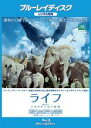 【中古】Blu-ray▼ライフ いのちをつなぐ物語 ブルーレイディスク レンタル落ち ケース無