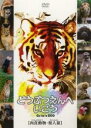 【バーゲンセール】【中古】DVD▼どうぶつえんへいこう 肉食動物 類人猿 ケース無