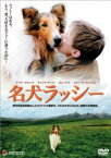 【中古】DVD▼名犬ラッシー レンタル落ち ケース無