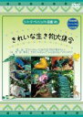 【バーゲンセール】【中古】DVD▼シリーズ・ヴィジュアル図鑑 26 きれいな生き物大集合 レンタル落ち ケース無