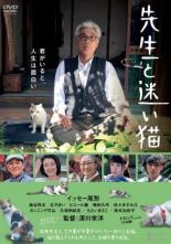 【中古】DVD▼先生と迷い猫 レンタル落ち ケース無