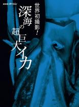 【バーゲンセール】【中古】DVD▼NHKスペシャル 世界初撮影!深海の超巨大イカ レンタル落ち ケース無