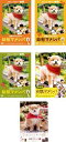 【バーゲンセール】全巻セット【中古】DVD▼連続テレビドラマ版 幼獣マメシバ(5枚セット)+ 映画版 + マメシバ・一郎 from 幼獣マメシバ レンタル落ち ...