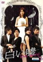 【バーゲンセール】【中古】DVD▼白い嘘 25(第97話〜第100話) 字幕のみ レンタル落ち ケース無
