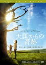 【バーゲンセール】【中古】DVD▼天国からの奇跡 レンタル落ち ケース無
