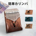 カリンバ カリンバ楽器 初心者 サムピアノ セット 専用ケース 民族 楽器 親指ピアノ 17キー マホガニー ローズ プレゼント ギフト キャンプ