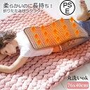 【マラソンで最大10%OFF&P2倍!】ホットマット 電気ホットカーペット ミニ 洗える 洗濯可能 76×40cm 6段階温度調節 防寒保温 折りたたみ ホット...
