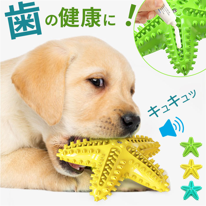 商品名犬 歯磨き おもちゃ商品説明【ワンちゃんの歯の健康をキープ！】 ヒトデ型のカミカミおもちゃで歯を健康に！「犬 歯磨き おもちゃ」が登場。 【ワンちゃんが噛んでも安全な素材】 適度な柔らかさと耐久性に優れたTPR樹脂素材でできたワンちゃん用のおもちゃ。【突起の組み合わせ】 歯を刺激する突起がいっぱい付いたユニークなヒトデ型。汚れを落とし歯ぐきを優しくマッサージ&nbsp;【ブラッシングが苦手なワンちゃんに】 ヒトデの突起は、形や大きさ方向が様々に変化するので、ワンちゃんも飽きずに遊んでくれる！【歯磨きペーストでさらに健康！】 溝部分にワンちゃん用の歯磨きペーストを付ければ、さらに歯をキレイにすることも&nbsp;【キュキュッと可愛い音が鳴る】 真ん中には音が鳴って楽しい「鳴き笛」付き。「キュキュッ」と可愛いらしい音がするよ【噛みキズ予防対策にも】 ワンちゃんのストレスを和らげることで、ソファや家具などへの噛みキズ予防にも役立つ！【水遊びにもおすすめ！】 水に浮く軽量素材だからプールでも楽しく遊べる汚れたら水洗いでき清潔感をキープ。素材TPR（熱可塑性ゴム）サイズ[縦]約2cm／[横]約16cm／[奥行]約16cm重量約155g