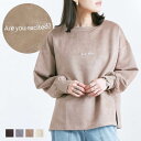 \SALE53%OFF/スエードプルオーバー トレーナー 刺繍 レディース ファッション 秋 冬 30代 20代 40代 ゆったり 大きめ 体型カバー ルームウ...