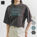 \SALE48%OFF/Tシャツ レディース 半袖 春 夏 ミニ裏毛 フレア袖 英字 プリント 大人 体型カバー ゆったり 20代 30代 40代 50代