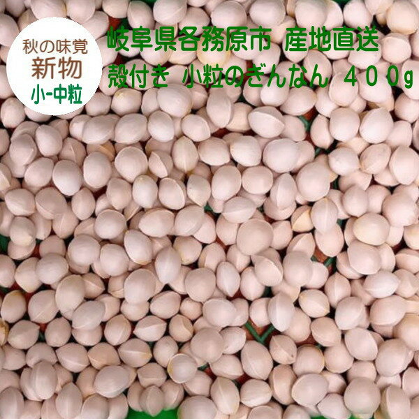 【個数限定】殻付き 生銀杏 小-中粒のぎんなん 400g 新物 2025年秋 岐阜県各務原市産 日本の秋の味覚 旬の味 産地直送 日本国内産 銀杏..
