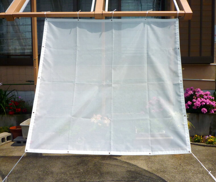 ���褱�Լ׸�Ψ48.2��ե�å��奷���� �����ݥ����꡼�� #2039�ڴ����ʡۻ����ϥȥ� 180cm��180cm �ϥȥ�5��5 ����ģ�ɱ구��Ŭ���� ���̤��Τ褤���褱 �뤵���糰������餲��ʷ���������å��奷���� �׸� �糰���ۼ� UV���å� �糰���к��ˡ��ɺҡۡں߸˸¤��