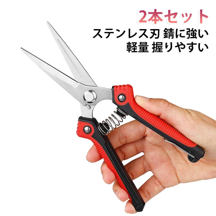 果樹の収穫や盆栽・芽切りに便利な剪定ハサミの2本セットです。ステンレス刃で錆びに強く、鋭い切れ味で枝をスッキリ切り落とせます。滑り止め付きのグリップで握りやすく、長時間の作業でも疲れにくい設計。軽量で耐久性に優れ、ガーデニングや庭木の手入れに活躍します。 サイズ 2本セット サイズについての説明 サイズ：205*60mm※画像の商品は光の照射や角度により、実物と色味が異なる場合がございます。また表示のサイズ感と実物は若干異なる場合もございますので、予めご了承ください。※サイズ詳細等の測り方はスタッフ間で統一、徹底はしておりますが、実寸は商品によって若干の誤差がある場合がございますので、予めご了承ください。 素材 ステンレス鋼 色 写真色 備考 ●サイズ詳細等の測り方はスタッフ間で統一、徹底はしておりますが、実寸は商品によって若干の誤差(1cm～3cm )がある場合がございますので、予めご了承ください。 ●製造ロットにより、細部形状の違いや、同色でも色味に多少の誤差が生じます。 ●パッケージは改良のため予告なく仕様を変更する場合があります。 ▼商品の色は、撮影時の光や、お客様のモニターの色具合などにより、実際の商品と異なる場合がございます。あらかじめ、ご了承ください。 ▼生地の特性上、やや匂いが強く感じられるものもございます。数日のご使用や陰干しなどで気になる匂いはほとんど感じられなくなります。 ▼同じ商品でも生産時期により形やサイズ、カラーに多少の誤差が生じる場合もございます。 ▼他店舗でも在庫を共有して販売をしている為、受注後欠品となる場合もございます。予め、ご了承お願い申し上げます。 ▼出荷前に全て検品を行っておりますが、万が一商品に不具合があった場合は、お問い合わせフォームまたはメールよりご連絡頂けます様お願い申し上げます。速やかに対応致しますのでご安心ください。