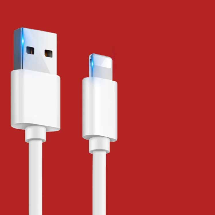 ルートアール Route-R 5V給電 USB3.0対応 TYPE-C OTGアダプター RA-OTGTU1PW