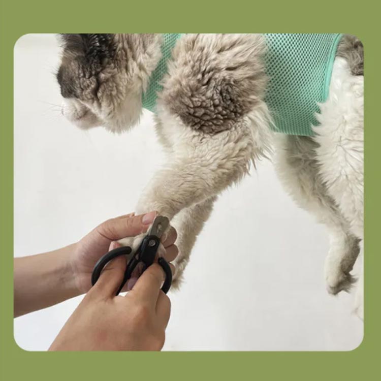 ���롼�ߥ� �ϥ��å� ǭ �� �ϥ��å� 4������Ÿ�� �ڥå� ���ڤ� ˽���ɻ� ���� �ȥ�ߥ� ��« �̵��� �ߤ�夲 ���᤭ ���ݽ� �ڥå����� ������ �淿�� �եå� ����
