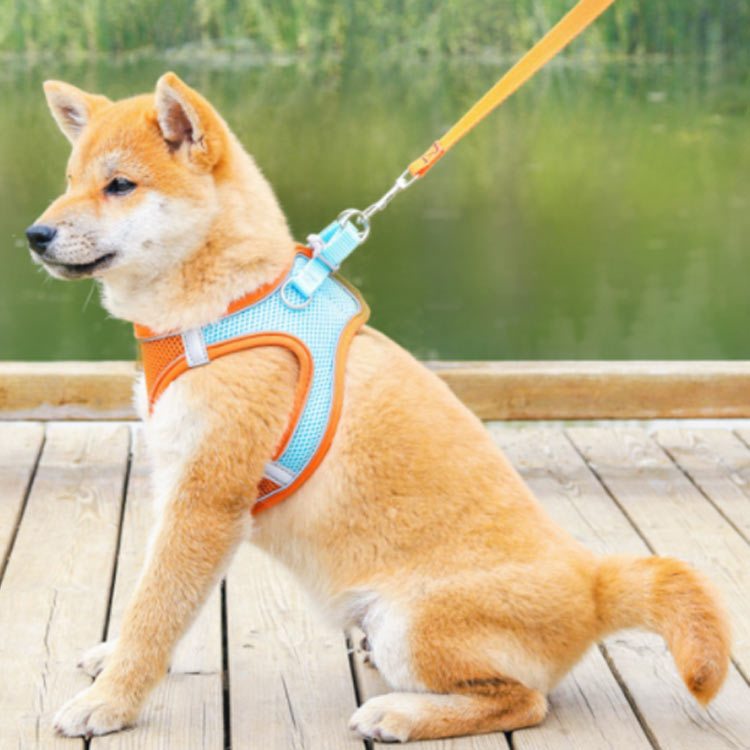 猫 猫用 ハーネス 犬 小型犬 胴輪 リード付 散歩 お出かけ 簡単装着 マジックテー...