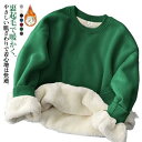 裏起毛 スウェット トレーナー レディース メンズ レディーストレーナー トップス 暖かい 無地 おしゃれ 長袖 大きいサイズ シンプル メンズ かわいい 大人 部屋着 大きいサイズ 春 秋 冬
