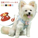 犬 ハーネス 小型犬 立体フラワー かわいい リード セット おしゃれ 猫 ソフトハーネス ウェア 胴輪 イヌ ネコ ペット リード付き キャット 抜けない キャット お洒落 はーねす 子犬 超小型犬 脱げない(4)