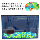光る 聖なる光石 光る石 夜光石 100個セット 砂利 庭 蓄光石 水槽 石 玄関 砕石 発光石 省エネ 蓄光 蛍光 夜光 おもしろ インテリア アクアリウム ...