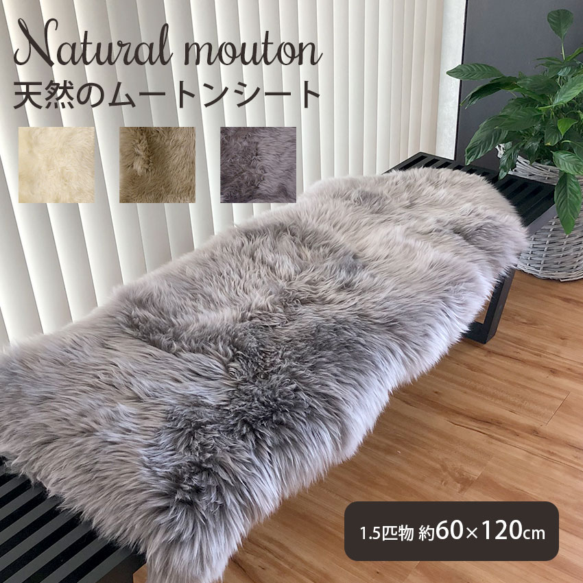 ˥塼ɻӻ ࡼȥ饰 1.5ɤʪ 60120 û Ĺ ե꡼ ࡼȥ 饰  ޥå ե ܳ ̵...