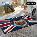 փ}bg }bg Lb`}bg 􂦂 wash+dry(EHbVAhhC) washdry O   rO o[ k  AEgbg store / British Pug 50~75cm