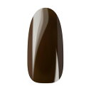 WFlCJ[ Ann Gel Chocolate Brown 019 WFlC J[WF lC WF lCpi J[ J[WFlC lCWF  Zt lCA[g A[gWF J[WF