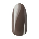 ジェルネイルカラー Ann Gel Smoke Chocolate Beige 064 ジェルネイル カラージェル ネイル ジェル ネイル用品 カラー カラージェルネイル ネイルジェル 爪 セルフ ネイルアート アートジェル カラージェル