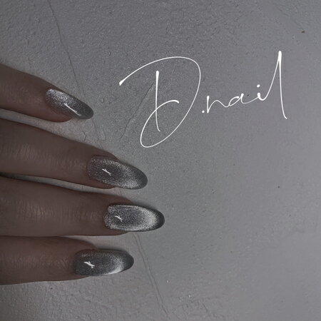 D.nail ファッション マグネットパウダー# シルバー