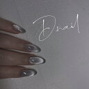 D.nail ファッション マグネットパウダー# シルバー