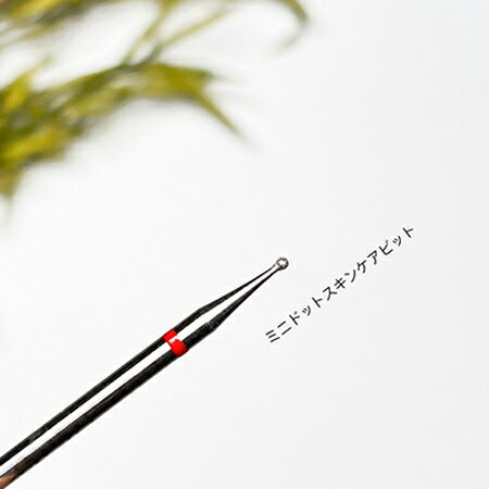 Ann Professional【公式】 ケアビット 01 ミニドットスキンケアビット