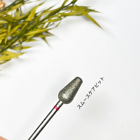 Ann Professionalڸ ӥåȡ05ࡼӥå