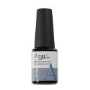 Ann Professional【公式】ノンワイプハードトップコート 12g