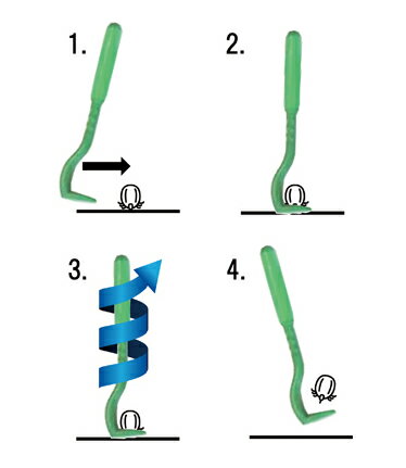 ���ˤȤ��O'TAM�ۥ�����