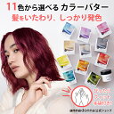 【公式ショップ】【送料無料】エブリ カラーバター単品 (230g)選べる11色(アンナドンナ ヘアカラートリートメント アッシュ ピンク ブルー シルバー 青 クリア ヘアカラー トリートメント カラー セルフカラー 混ぜる カラー剤 カラーリング ブリーチ)