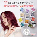 エブリ　カラーバター単品 (230g)選べる11色(アンナドンナ ヘアカラートリートメント アッシュ ピンク ブルー シルバー 青 クリア ヘアカラー トリートメント カラー セルフカラー 混ぜる カラー剤 カラーリング ブリーチ)