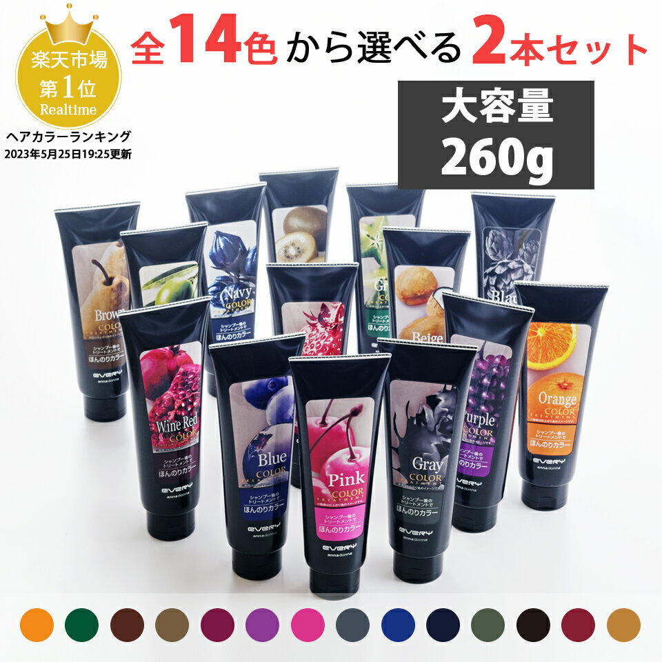 エブリ カラートリートメント ラージ(260g) 2本セット(アンナドンナ ヘアカラートリートメント アッシュ 青 ヘアカラー カラー エブリカラー 白髪 グレー セルフカラー 白髪染め カラー剤 カラーリング ヘアー カラー)