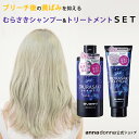 【公式ショップ】エブリ むらさきシャンプー と トリートメント の セット(アンナドンナ ヘアカラートリートメント カラートリートメント アッシュ 紫シャンプー カラーシャンプー セルフカラー セルフ カラーリング ブリーチ 黄ばみ アミノ酸系)