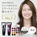 【公式ショップ】【お得な大容量】エブリ　カラートリートメント ラージサイズ (260g)(アンナドンナ annadonna EVERY ヘアカラートリートメント アッシュ ピンク 青 グレー ヘアカラー トリートメント カラー 白髪 白髪染め セルフカラー 女性用 プレゼント ギフト) 3