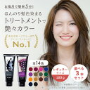 【公式ショップ】【送料無料】 エブリ カラートリートメント (160g) 選べる3本セット (ヘアカラートリートメント アッシュ ヘアカラー 青 ピンク グレー トリートメント カラー ブルー 白髪 髪染め 白髪染め カラー剤 ヘアケア ヘアーカラー 紫 パープル グリーン)